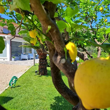 Bed & Breakfast Capo Al Piano